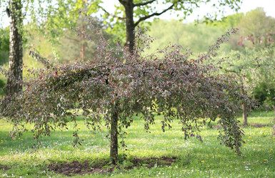 Similar image 21712973