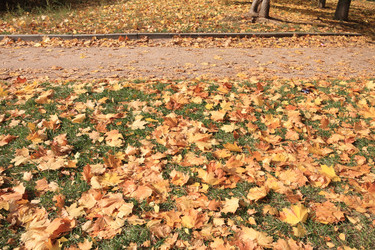 Similar image 21712976