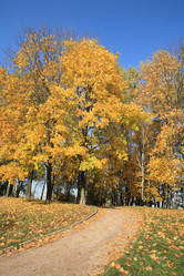 Similar image 21712985