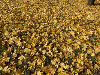 Similar image 21712990