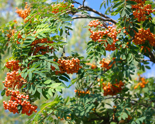 Similar image 21712991