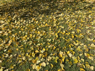 Similar image 21712993