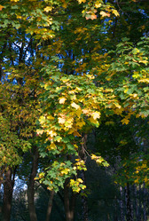 Similar image 21712995