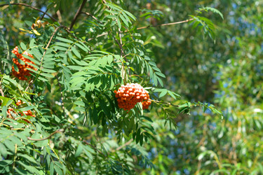 Similar image 21713675