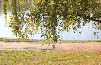 Similar image 21713676