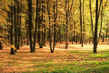 Similar image 21713677