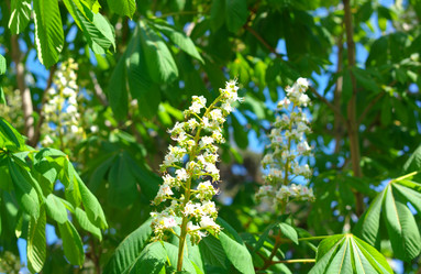 Similar image 21713680