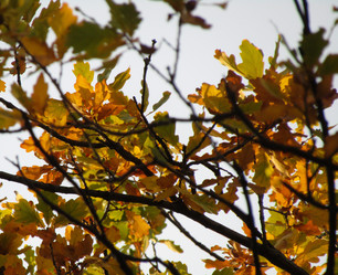 Similar image 21712197