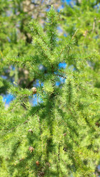 Similar image 21712808