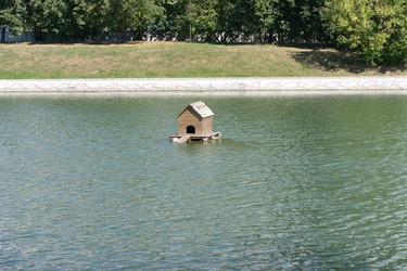 Similar image 21712811