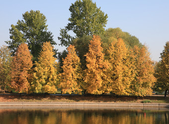 Similar image 21712815