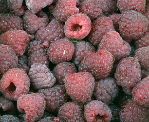 Similar image 21712818