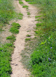 Similar image 21712824