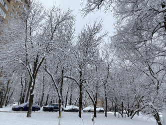 Similar image 21712827