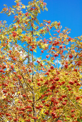 Similar image 21712832