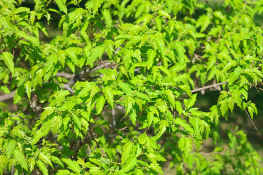 Similar image 21712834