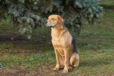 Similar image 21712570