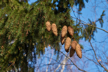 Similar image 21712572