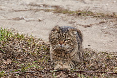 Similar image 21712573