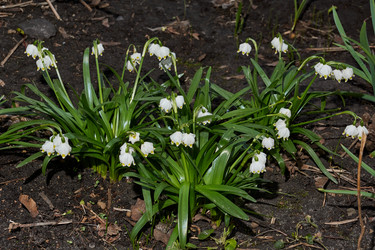 Similar image 21712577