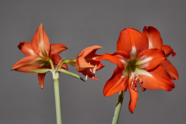 Similar image 21712584