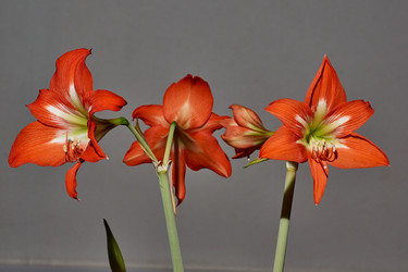 Similar image 21712587