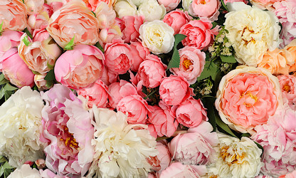 Similar image 21711881