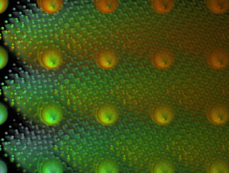 Similar image 21718505