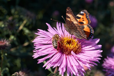 Similar image 21712589