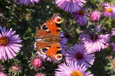 Similar image 21712594