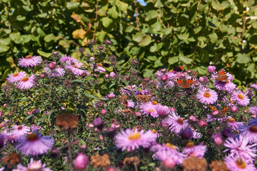 Similar image 21712597