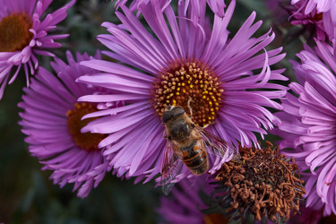 Similar image 21712600