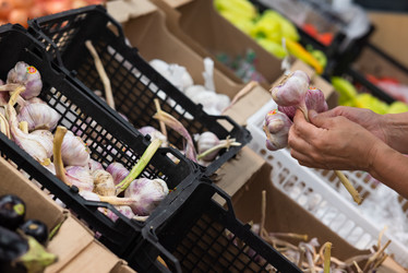 Similar image 21716786