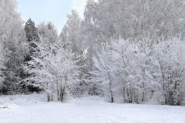 Similar image 21716792