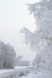 Similar image 21716794