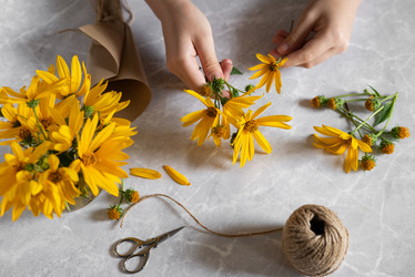 Similar image 21716796