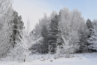 Similar image 21716807