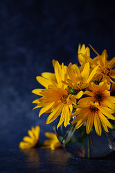 Similar image 21716815