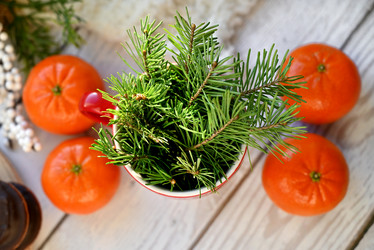 Similar image 21716816