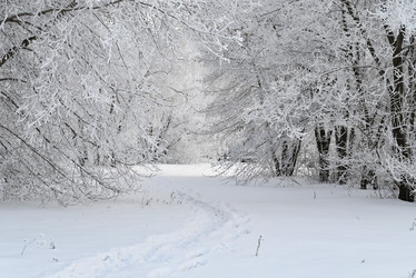 Similar image 21716826