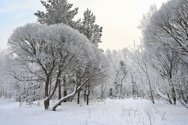 Similar image 21716829