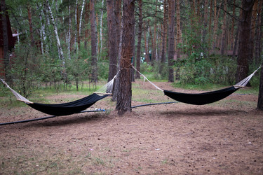 Similar image 21716834