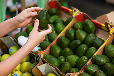 Similar image 21716838