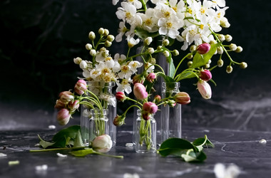 Similar image 21716867