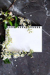 Similar image 21716869