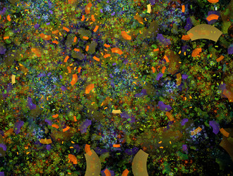 Similar image 21718897