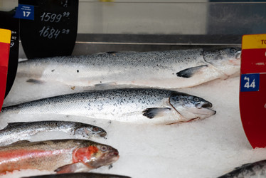 Similar image 21716884