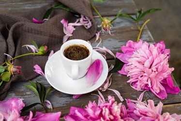 Similar image 21716893