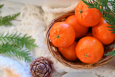 Similar image 21716903