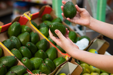 Similar image 21716904